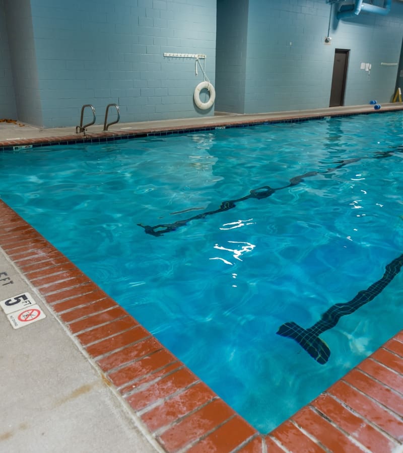 aquatic training at hershey gym