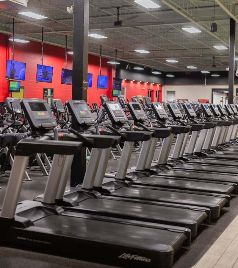 a row of treadmills and modern cardio equipment at a pa fitness club in york