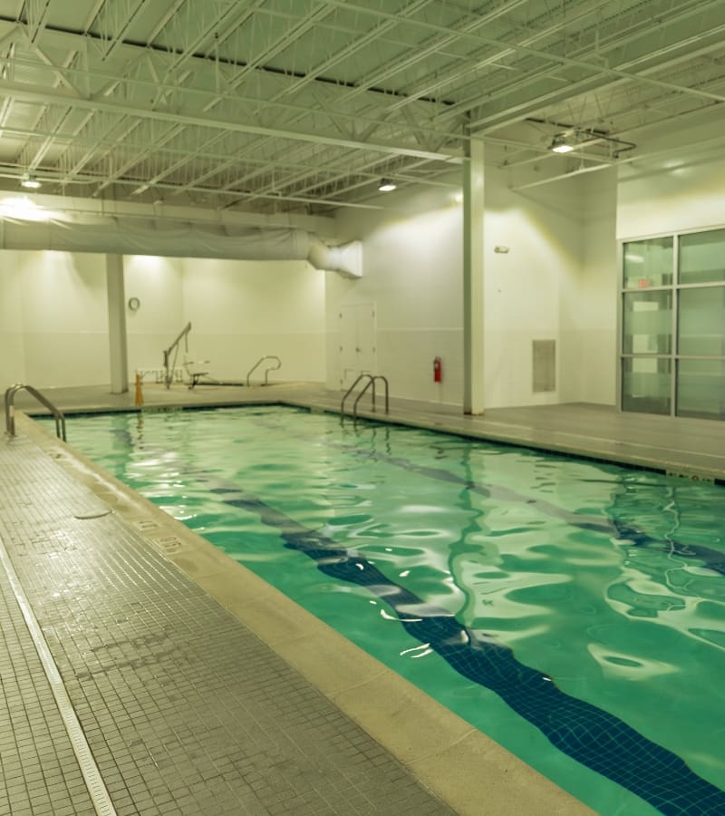aquatics at modern pa gym in york