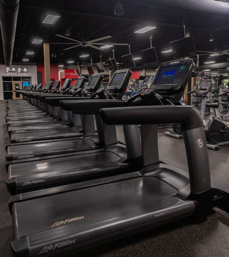 a row of treadmills at a modern gym in york pa